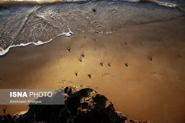 تصاویر، زیبایی های بی نظیر خلیج زیبای فارس