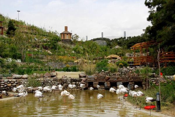 باغ پرندگان تهران را بیشتر بشناسید Tehran Birds Garden