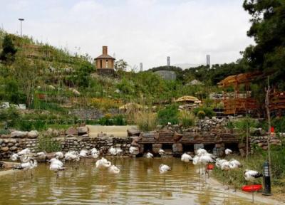 باغ پرندگان تهران را بیشتر بشناسید Tehran Birds Garden